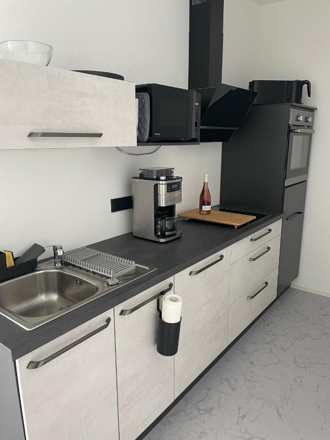 Apartments Saaldorf-Ferienhaus Mit 6 Apartments 45Qm-120Qm Direkt Am Thueringer Meer-Bleilochtalsperre Bad Lobenstein Εξωτερικό φωτογραφία