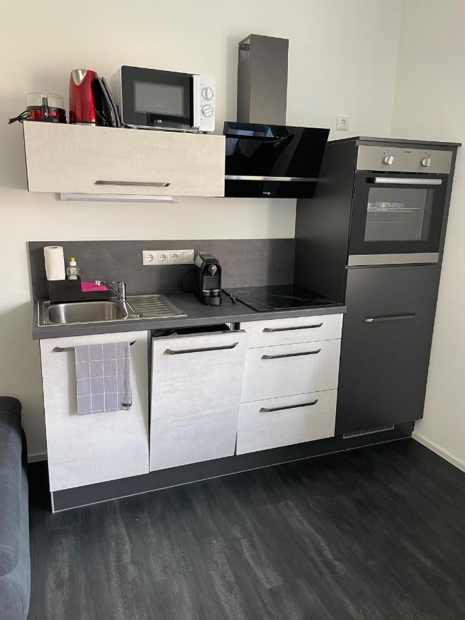 Apartments Saaldorf-Ferienhaus Mit 6 Apartments 45Qm-120Qm Direkt Am Thueringer Meer-Bleilochtalsperre Bad Lobenstein Εξωτερικό φωτογραφία