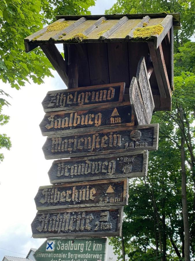Apartments Saaldorf-Ferienhaus Mit 6 Apartments 45Qm-120Qm Direkt Am Thueringer Meer-Bleilochtalsperre Bad Lobenstein Εξωτερικό φωτογραφία