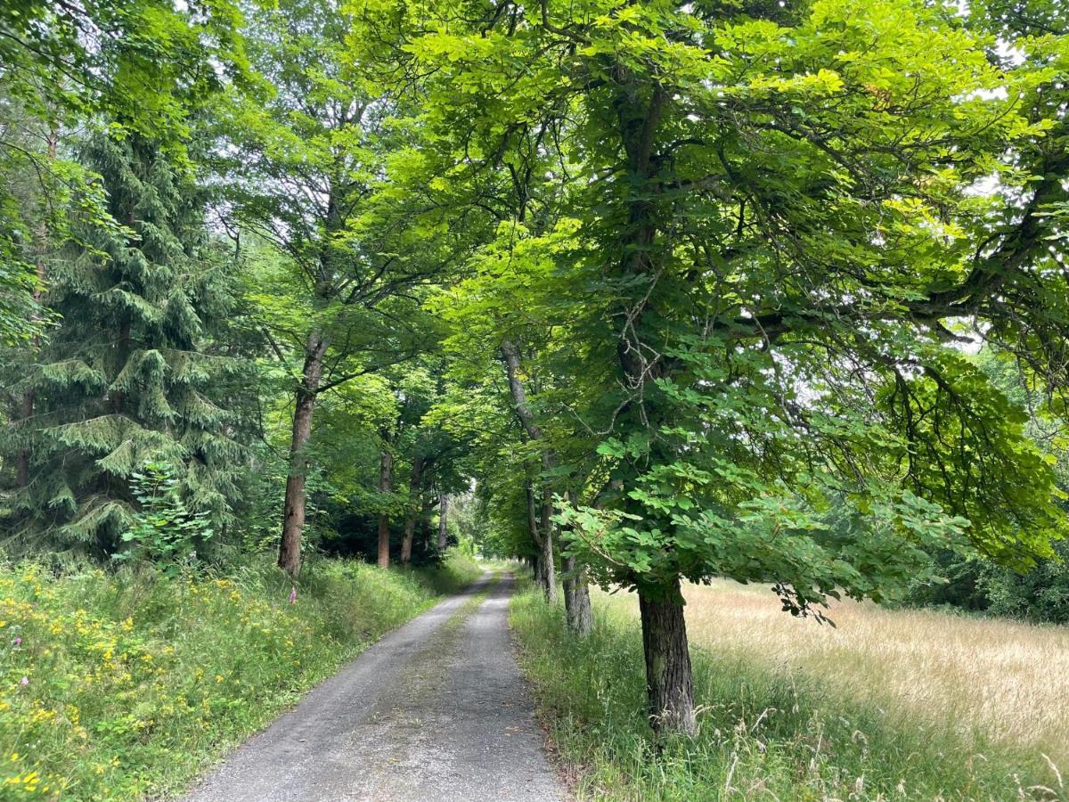 Apartments Saaldorf-Ferienhaus Mit 6 Apartments 45Qm-120Qm Direkt Am Thueringer Meer-Bleilochtalsperre Bad Lobenstein Εξωτερικό φωτογραφία